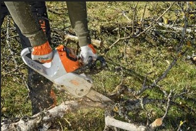 A chainsaw being used to cut through a thick wooden tree branch outdoors.